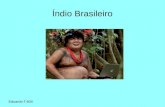 íNdios brasileiro   eduardo