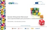 A nova Escola Virtual do Mercosul - Resultados e Chave para o sucesso
