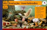 2EM #02 Evolução dos invertebrados