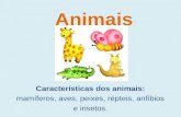 Caracteristicas dos animais  3º ano