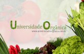 5 beneficios do uso de adubos verdes na agricultura organica
