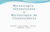 Microscopia de ultravioleta e  fluorescência
