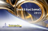 Triângulo   instittucional 2015