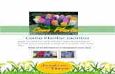 Como plantar jacintos