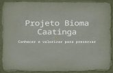 Projeto bioma caatinga