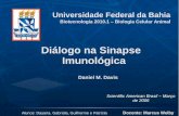 Diálogo na Sinapse Imunológica