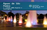 Tecnologia e inovação: Fabio Pontes Ferreira, Secretário de Turismo de Águas de São Pedro