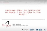 Panorama geral do scholar one no mundo e na coleção SciELO Brasil - Alex Mendonça