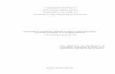Dissertação de patrícia cabral de arruda na sociologia da un b em 2012