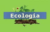 Ecologia 3º ano