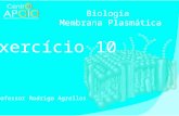 - Biologia - Exercícios Resolvidos Membrana Plasmática ( 10 )