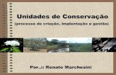 Unidades de Conservação - Por Renato Marchesini