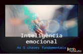 Inteligência emocional   as 5 chaves fundamentais