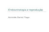 Endocrinologia e Reprodução