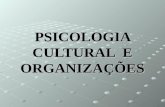 Psicologia Cultural e Organiza__es. Inter