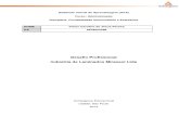 Desafio Industria de Laminados Mirassol TRABALHO COMPLETO.pdf