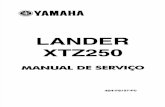 Manual de Serviço Lander XTZ 250