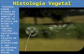 Histologia e Organologia Vegetal