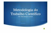 Metodologia Introdu§£o.pdf