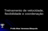 Msa Vanessa Bisquolo - Treinamento de Velocidade, Flexibilidade e Coordenação