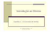Capitulo I - O Conceito de Direito_2013