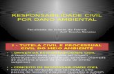 Responsabilidade Civil Por Dano Ambiental 30 Mai 2014