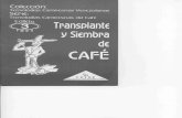TEC.CAMPESINAS DEL CAFE, #3 Transplante y Siembra