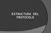 Estructura Del Protocolo