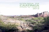 Livro Curso de Campo Caatinga 2012
