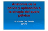 Anatomía de La Pelvis y Aplicaciones en Cirugía Del Suelo Pèlvico