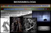 3 - Biossimbologia - 1 - Em Mudança