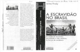 A Escravidão No Brasil- Jaime Pinski
