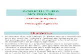 08. Agricultura No Brasil.2015
