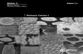 Biologia Celular I - Vol.2.pdf