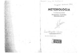 Metodologia Carlos Mendez