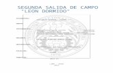 Informe Geologia Leon Dormido