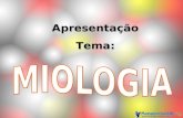 Miologia - Sem Anima