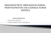 Diagnostico Organizacional Participativo en Consultoria (Dopc)