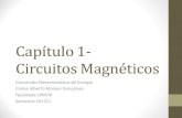 Capitulo 1-Circuitos Magneticos