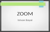 Zoom (PPT)