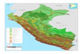 Mapa Cobertura Vegetal Peru