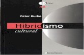 BURKE, P (2003) Hibridismo Cultural