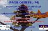 Programa nacional de biodiesel