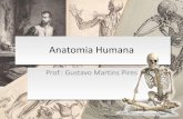 anatomia-humana-introduc3a7c3a3o (1).pdf