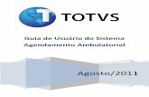 TS GU001 HFRJ Agendamento Ambulatorial v11