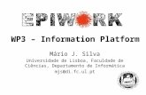 WP3 – Information Platform Mário J. Silva Universidade de Lisboa, Faculdade de Ciências, Departamento de Informática mjs@di.fc.ul.pt.