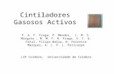 Cintiladores Gasosos Activos F. A. F. Fraga, P. Mendes, L. M. S. Margato, M. M. F. R. Fraga, S. T. G. Fetal, Filipa Balau, R. Ferreira Marques, A. J. P.