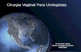Cirurgia Vaginal Para Urologistas Prof Paulo Palma Titular Urologia Feminina UNICAMP.