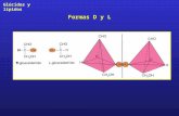 Glúcidos y lípidos Formas D y L. Glúcidos y lípidos Clasificación de los glúcidos.