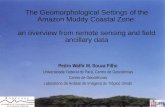 The Geomorphological Settings of the Amazon Muddy Coastal Zone: an overview from remote sensing and field ancillary data Pedro Walfir M. Souza Filho Universidade.